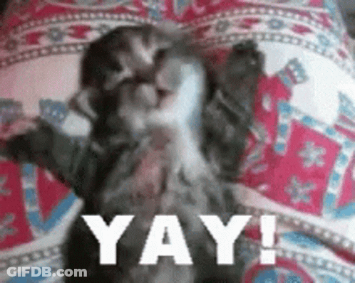 Kitten Laying On Pillow Saying Yay GIF