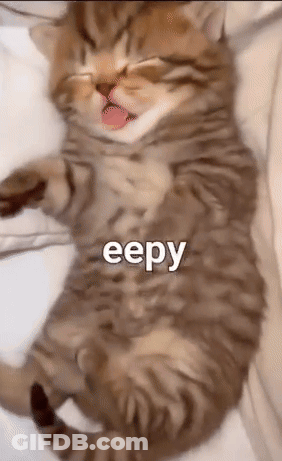 Kitten Lying On Back With Tongue Out GIF