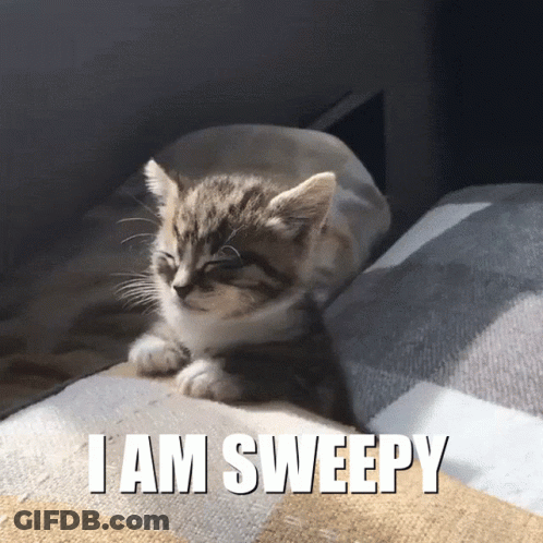 Kitten Lying On Blanket Saying I Am Sleepy GIF