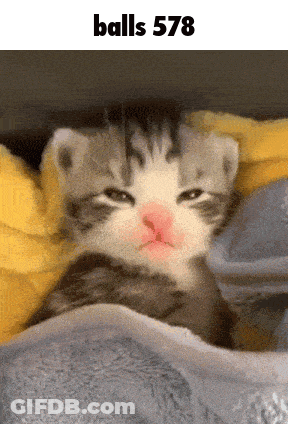 Kitten Lying Under Blanket Balls 578 GIF