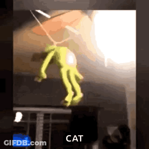 Kitten On Blanket With Level 9 Broken Hearted GIF