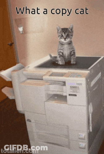 Kitten On Copier Saying What A Copy Cat GIF