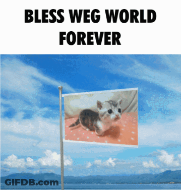 Kitten On Flag Bless World Forever GIF