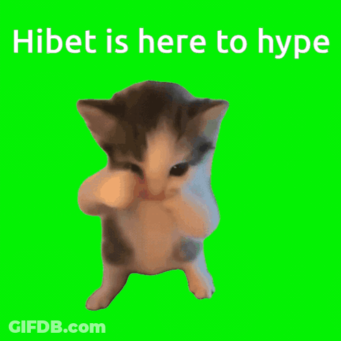 Kitten On Hind Legs Hibet Is Here To Hype GIF