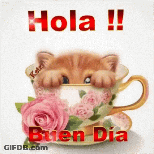 Kitten Peeking Out Of Cup Of Tea With Roses And Hola Buen Dia GIF