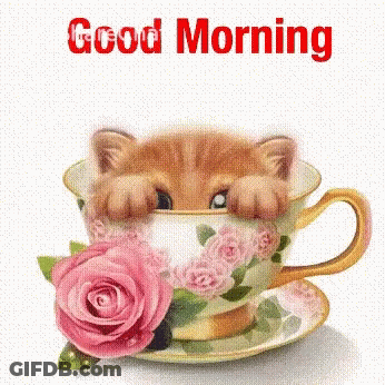 Kitten Peeking Out Of Tea Cup With Roses Saying Good Morning GIF