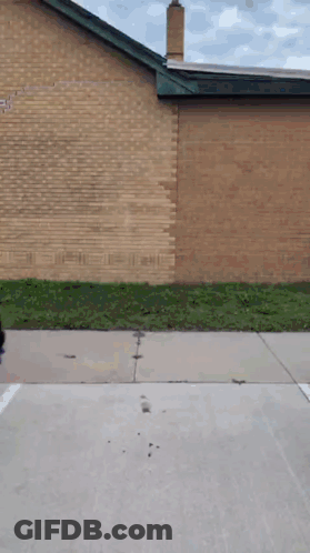 Kitten Playing With Blue Toy On Blanket GIF