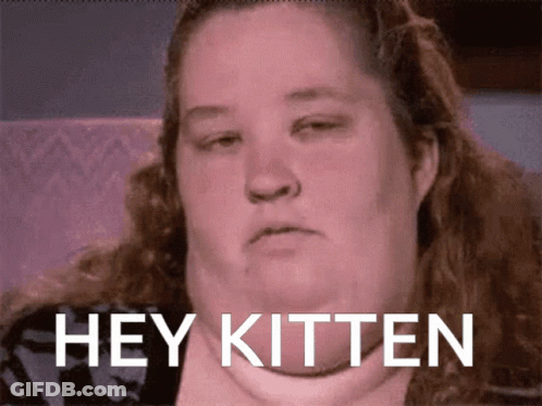 Kitten Reddit GIF