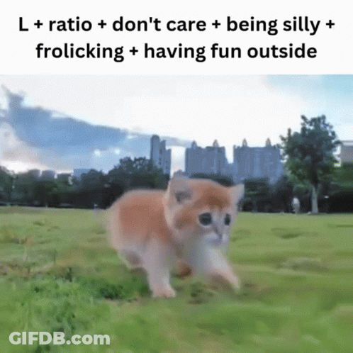 Kitten Running In Field With L + Ratio Don't Care GIF