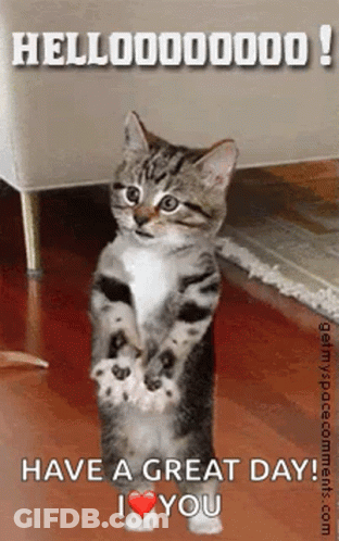 Kitten Saying Have A Great Day GIF