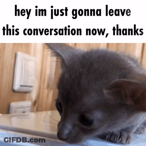 Kitten Saying Hey Im Just Gonna Leave GIF