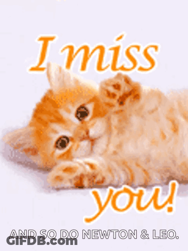 Kitten Saying I Miss You And So Do Newton & Leo GIF