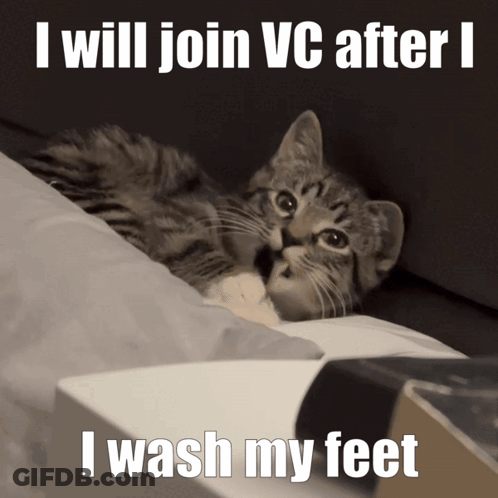 Kitten Saying I Will Join VC After I Wash My Feet GIF