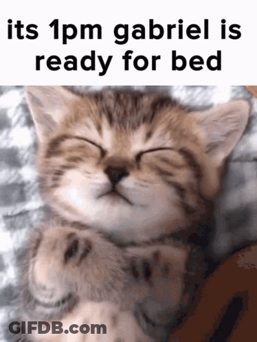 Kitten Saying Its 1Pm Gabriel Ready For Bed GIF