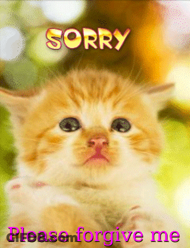 Kitten Saying Sorry Please Forgive Me GIF