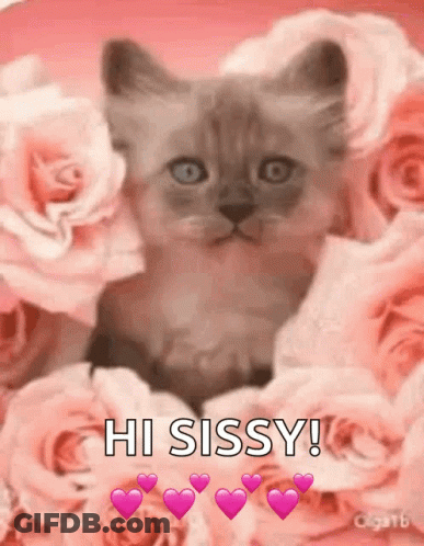 Kitten Sitting In Pink Roses And Hearts GIF