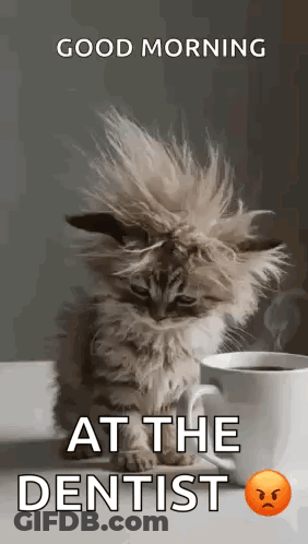 Kitten Sitting Next To Coffee And Good Morning Message GIF