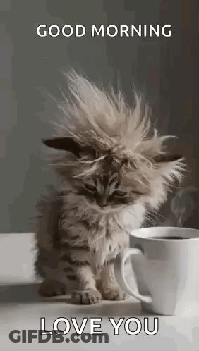 Kitten Sitting Next To Cup Of Coffee GIF