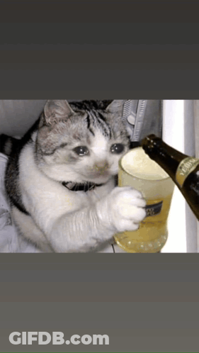 Kitten Sitting On Bed Missing You My Babies GIF