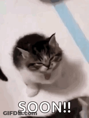 Kitten Sitting On Bed Saying Soon GIF