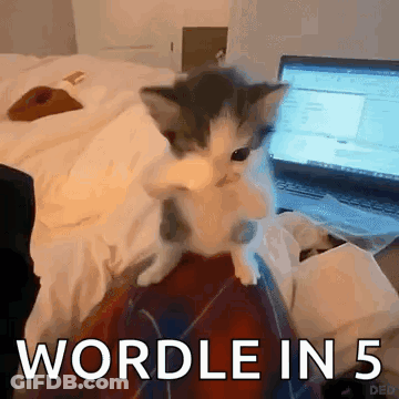 Kitten Sitting On Lap Saying Wordle In 5 GIF
