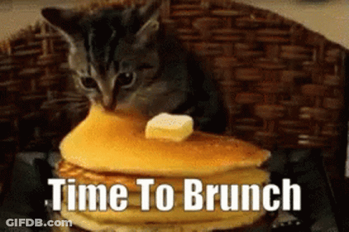 Kitten Sitting On Pancakes With Time To Brunch GIF