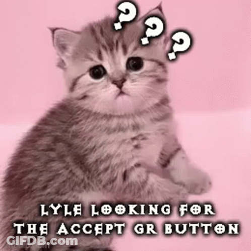 Kitten Sitting With Question Mark On Pink Background GIF