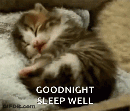 Kitten Sleeping Goodnight Sleep Well GIF