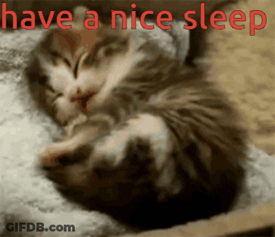 Kitten Sleeping On Pillow Have A Nice Sleep GIF
