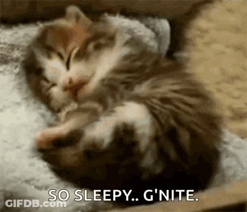 Kitten Sleeping On Pillow Saying So Sleepy G Nite GIF