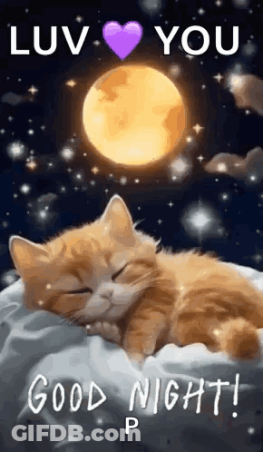 Kitten Sleeping On Pillow Under Full Moon GIF