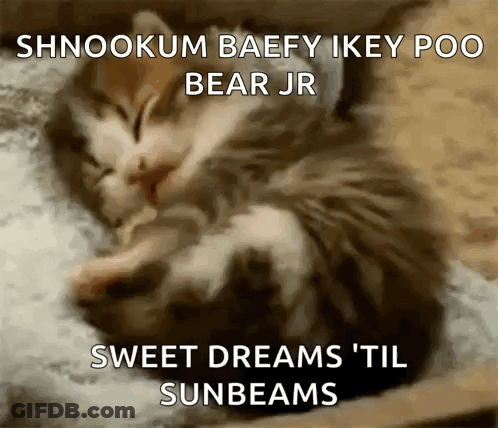 Kitten Sleeping On Pillow With Sweet Dreams GIF