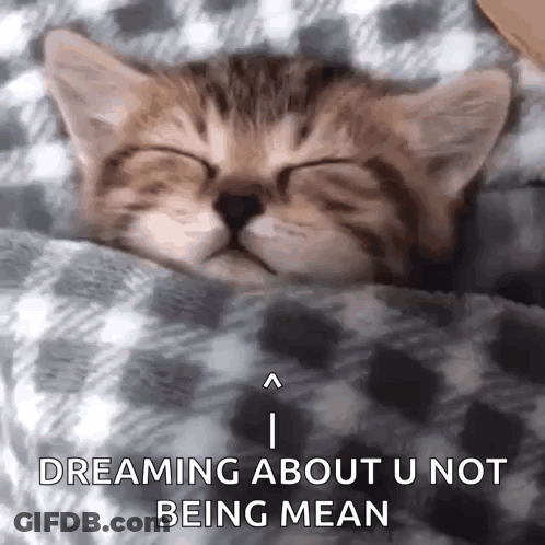 Kitten Sleeping Under Blanket Dreaming U Not Mean GIF