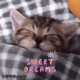 Kitten Sleeping Under Blanket Sweet Dreams GIF