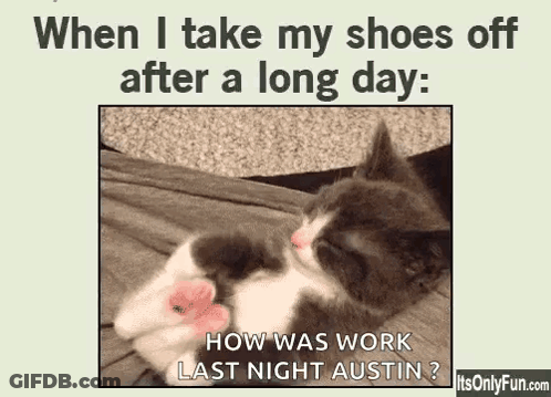 Kitten Sleeping When I Take My Shoes Off After A Long Day GIF