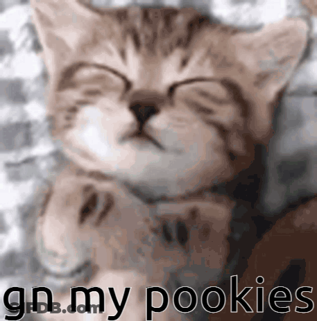 Kitten Sleeping With Gn My Pookies GIF