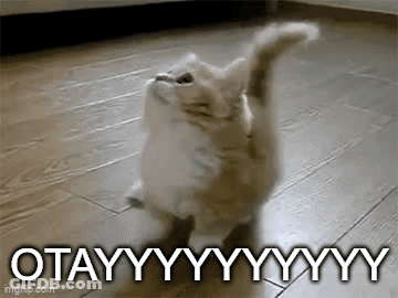 Kitten Standing Arms Outstretched Saying Otayyyyyyy GIF