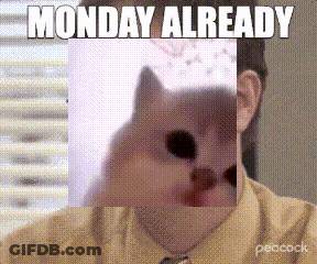 Kitten Standing On Hind Legs Good Morning GIF
