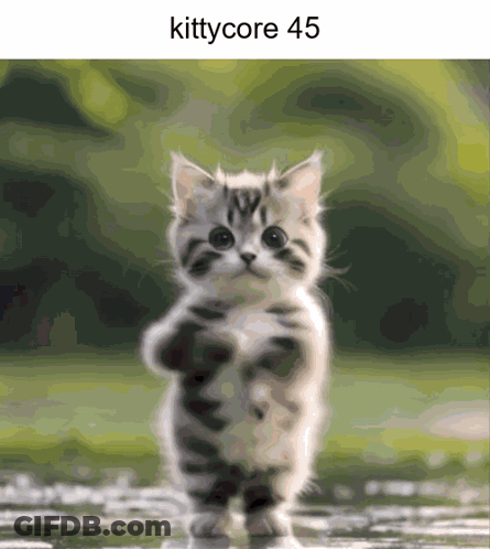 Kitten Standing With Kittycore 45 GIF
