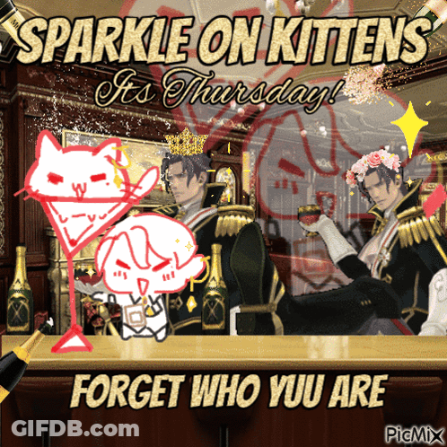 Kitten This Is Who You Are Calling Dumb Rememer That GIF