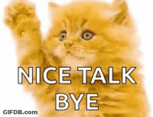 Kitten Waving Nice Talk Bye GIF
