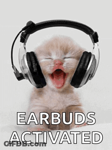 Kitten Wearing Headphones Earbuds Activated GIF