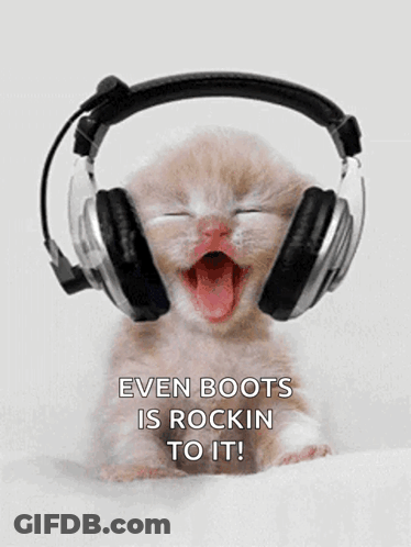 Kitten Wearing Headphones Even Boots Is Rockin To It GIF