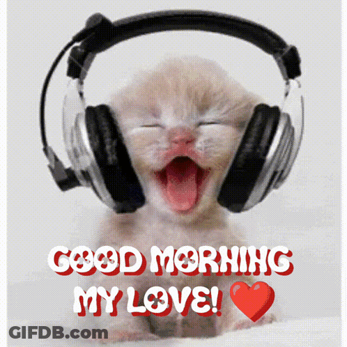 Kitten Wearing Headphones Saying Good Morning GIF