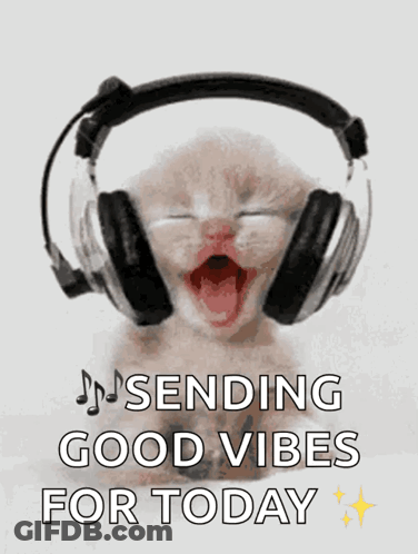 Kitten Wearing Headphones Sending Good Vibes For Today GIF