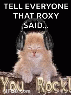 Kitten Wearing Headphones Sitting On Tree Branch GIF