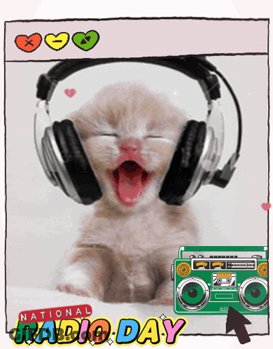 Kitten Wearing Headphones With Boombox GIF