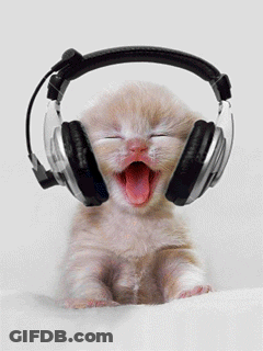 Kitten Wearing Headphones With Mouth Open GIF
