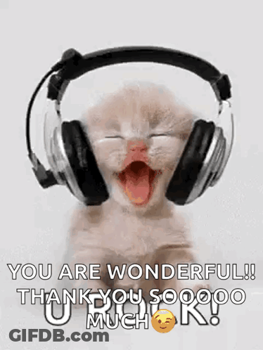 Kitten Wearing Headphones With Mouth Open GIF