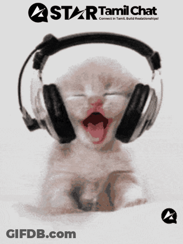 Kitten Wearing Headphones With Star Tamil Chat Logo GIF